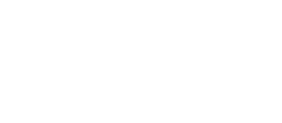 House of Silver by RareCut